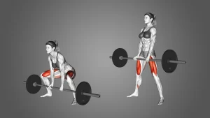 sumo-hack-squat-workout