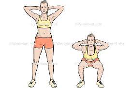 Squats Using Body Weight