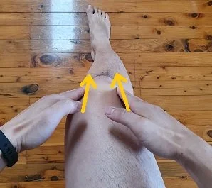 knee-myofascial-glides