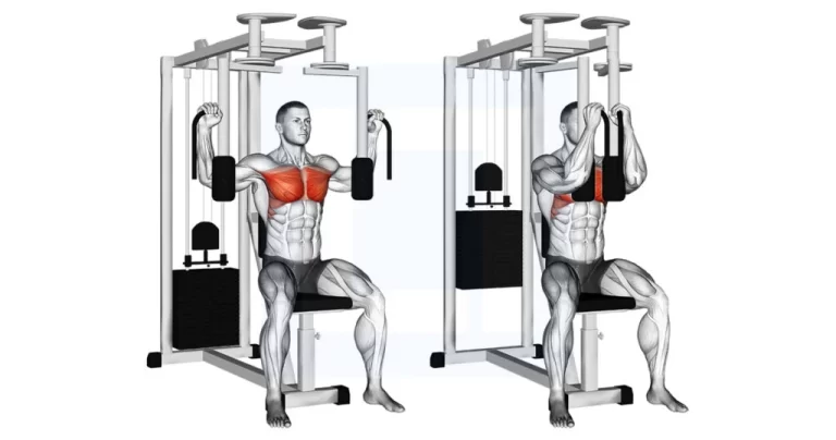 Pec Deck Exercise