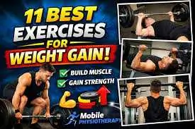 top-11-exercises-for-weight-gain-quikly