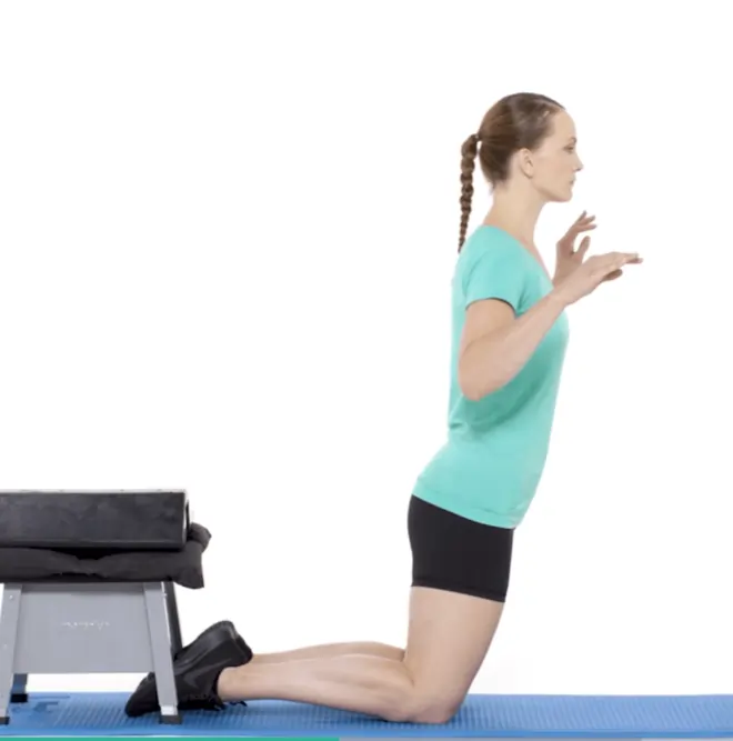 Nordic Hamstring Curl