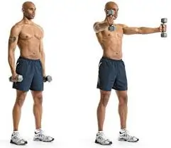 Dumbbell Scaption Raise Exercise