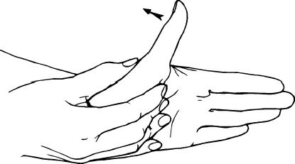 MP extension