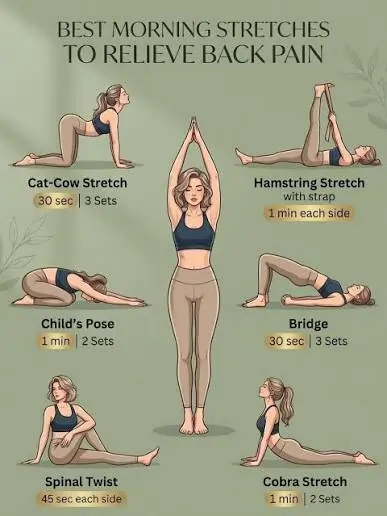 Morning Stretches For Back Pain Relief
