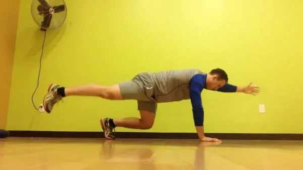 Advanced Bird Dog from a bear-plank position