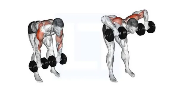 Dumbbell Face Pulls