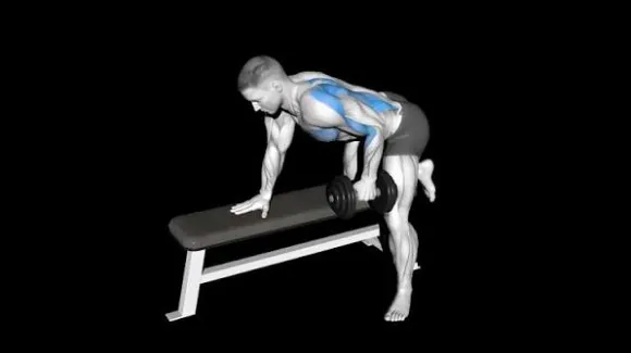 Dumbbell High Elbow Rows