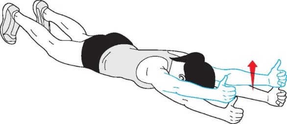 Prone Y Raise Exercise