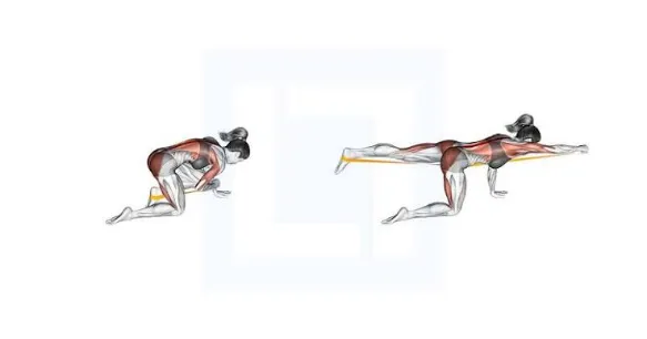 Resistance-band Bird Dog