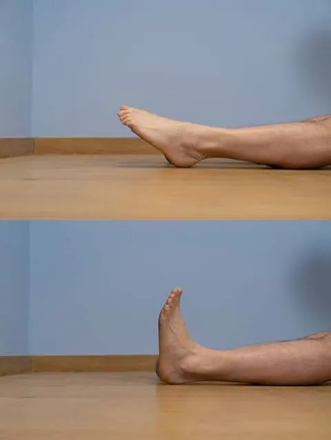 Ankle planterflexion